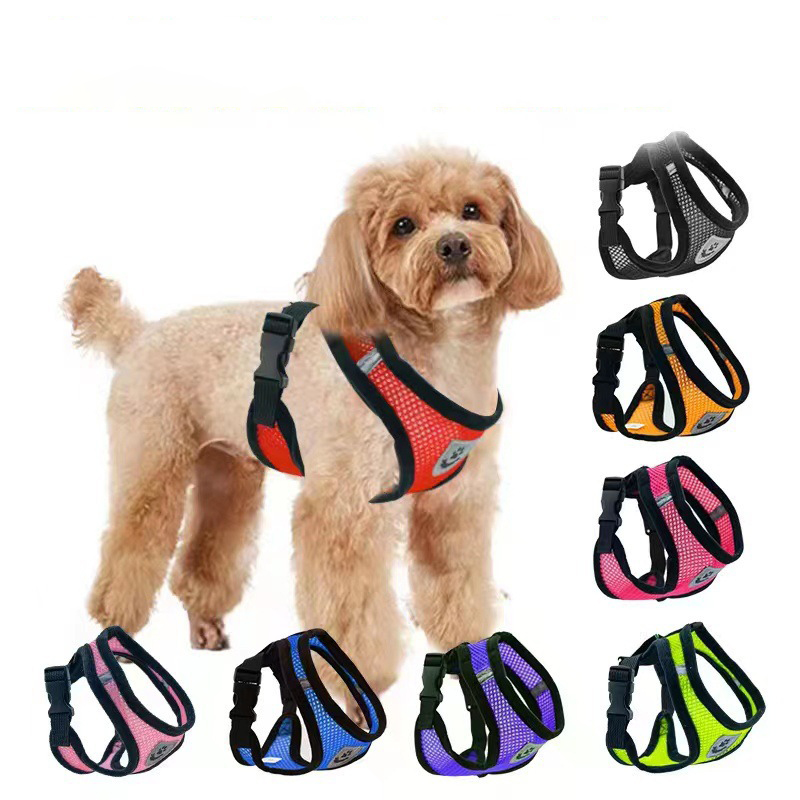 Hot summer small dog pet chest - Mini Trampoline Spring review and price