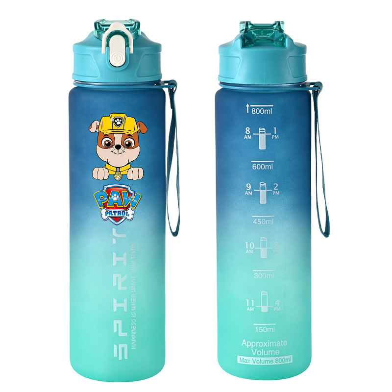800ml PAW Patrol Sports Water  - Kids Outdoor Kitchen Accessories review and price