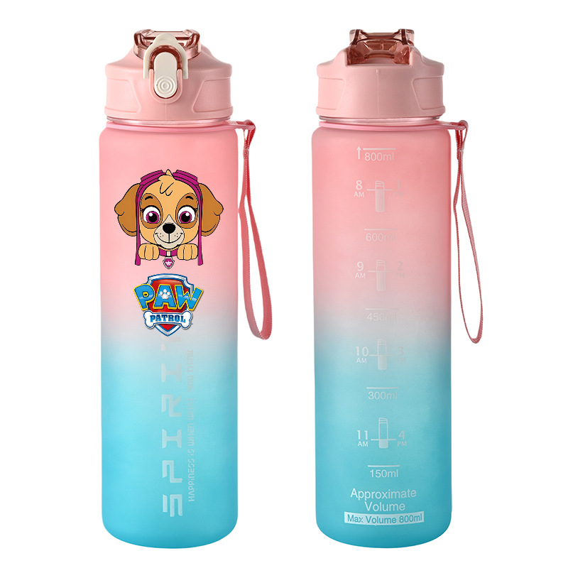 800ml PAW Patrol Sports Water  - Kids Outdoor Kitchen Accessories review and price