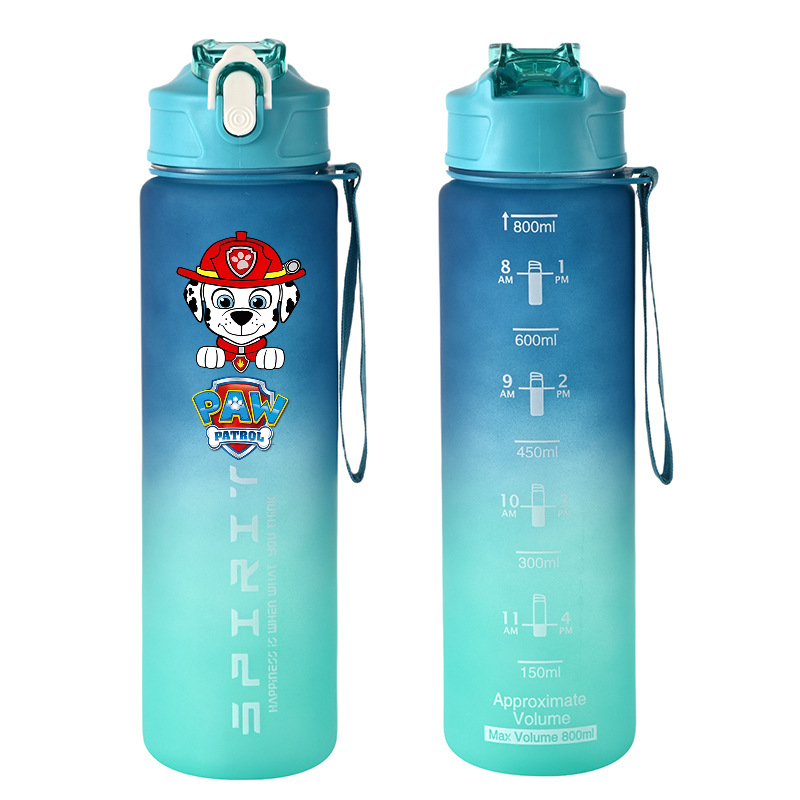 800ml PAW Patrol Sports Water  - Kids Outdoor Kitchen Accessories review and price