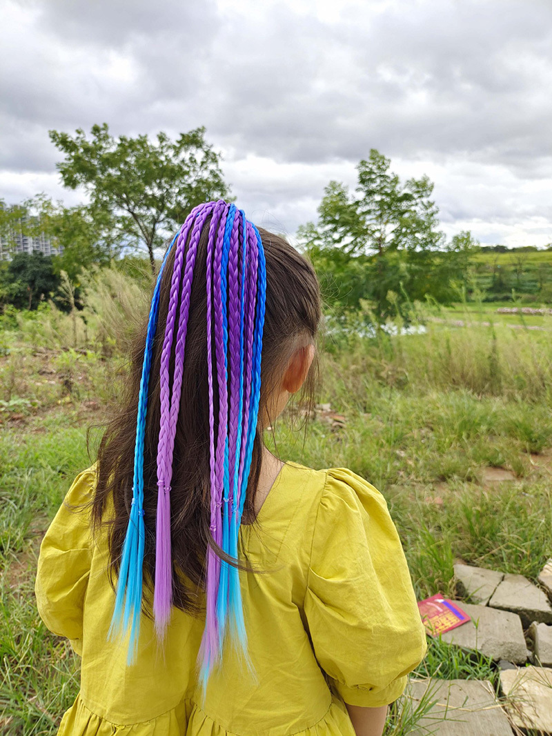 1 PCS New Girls Colorful Wigs  - Kids Outdoor Decor review and price