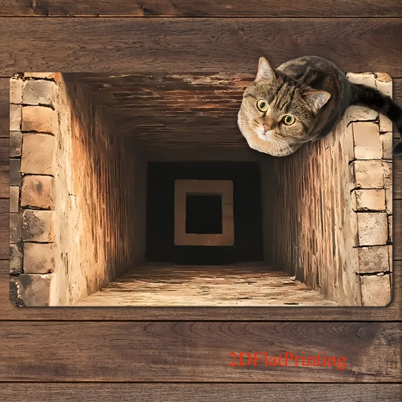 2D Flat Mystery Staircase Door - Stepping Stone Foam review and price